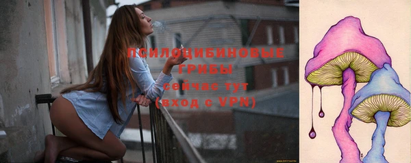 эйфоретик Елабуга