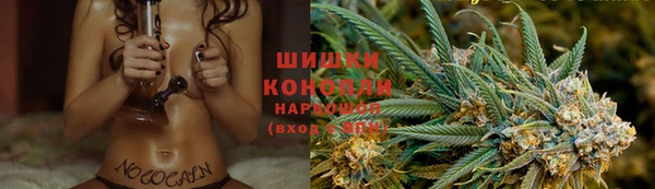 spice Ельня