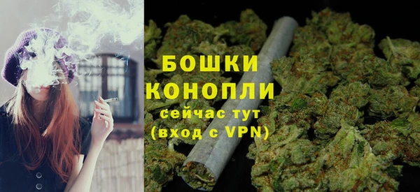 сатива Нязепетровск