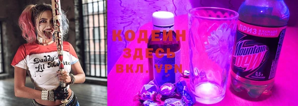 spice Ельня