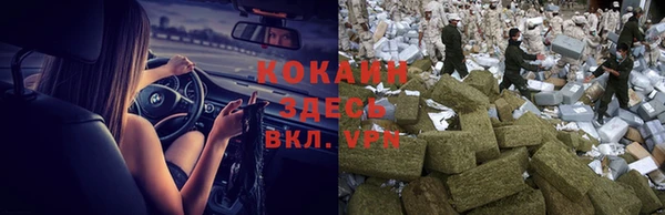 дурь Елизово