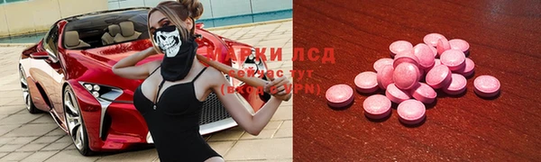 крисы Заводоуковск