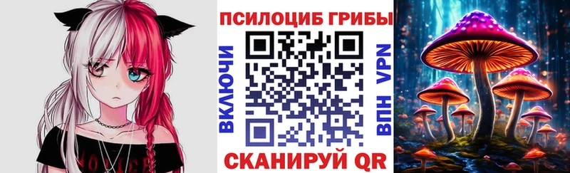 купить  цена  Борзя  Псилоцибиновые грибы мухоморы 